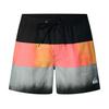 Quiksilver Mens Colour Block Swim Shorts