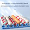 Mini Fully Automatic Poultry Egg Incubator with Auto Egg Turning Household Brooder for Hatching Chicken Duck Goose Bird Eggs