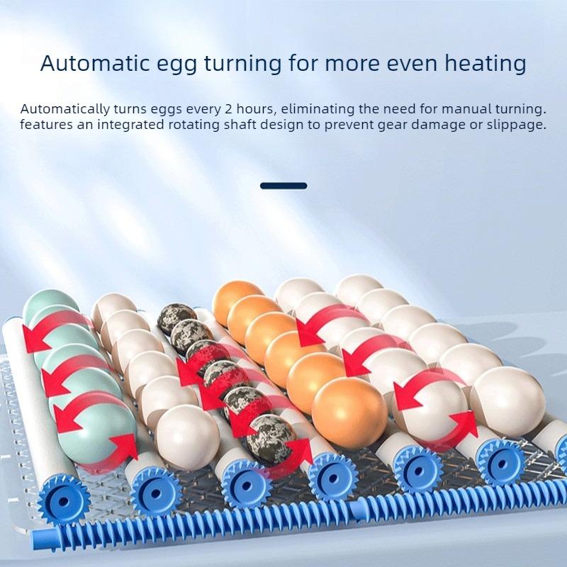 Mini Fully Automatic Poultry Egg Incubator with Auto Egg Turning Household Brooder for Hatching Chicken Duck Goose Bird Eggs