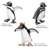 COLORATA Penguin 3D Picture Book 13 Pieces Explanation Real Figure Birthday Present Gift Sanitation Law Figure Penguin Christmas Present (12 Types, /