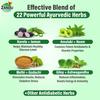 Zandu Dia-BTS Tonic 650 ML Ayurvedic Herbal Health Drink for Natural Metabolic Support and Wellness Boost