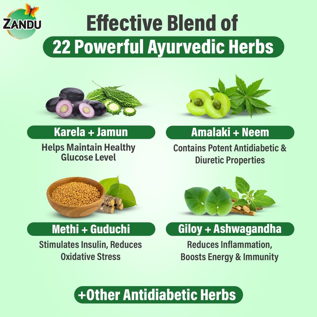 Zandu Dia-BTS Tonic 650 ML Ayurvedic Herbal Health Drink for Natural Metabolic Support and Wellness Boost