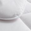 LOVO Warm Ginger Silky Soft Antibacterial Quilt