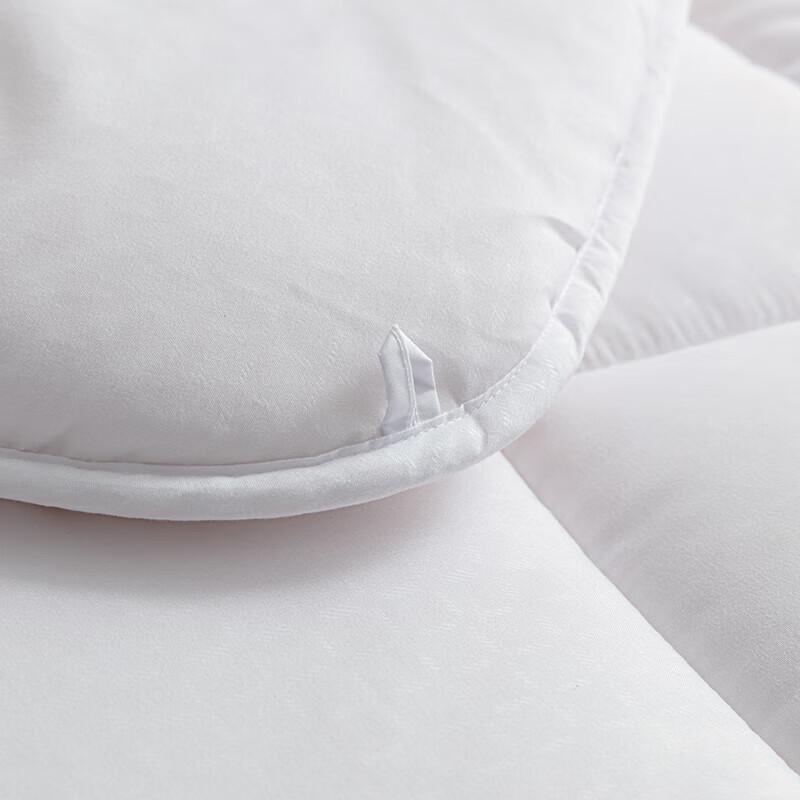 LOVO Warm Ginger Silky Soft Antibacterial Quilt