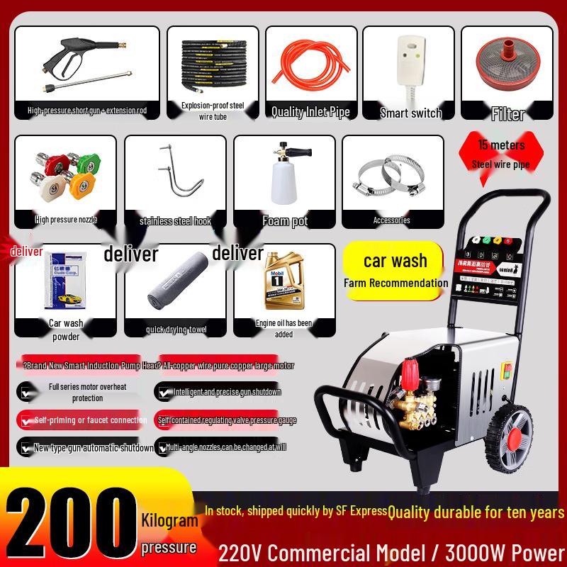 Black Cat Duke High-Power Pressure Washer CN plug (adapter included)