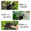 PAVIKE Mini Garden Tool Set Hand Mini Garden and Gardening Stainless Steel with Wooden Perfect for Flower Transplanting and Perfect for Indoor and