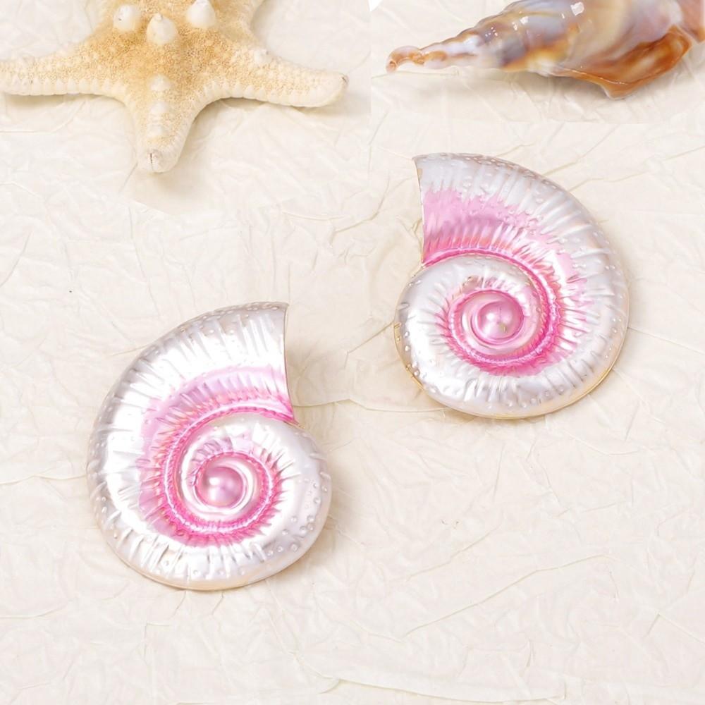 Chic Conch Shell Earrings Studs Hypoallergenic Sea Beach Earrings Ocean Style Ear Studs Holiday