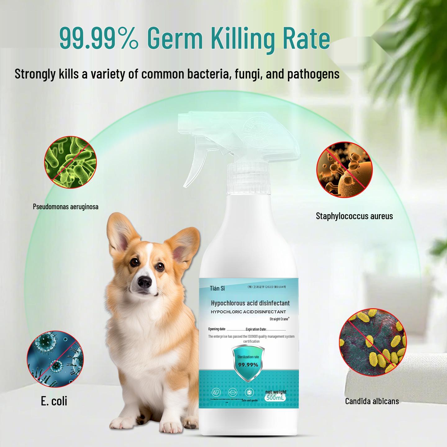 Hypochlorous Acid Pet Disinfectant Spray for Cats & Dogs - Safe for Indoor Use 500mL x 1 bottle