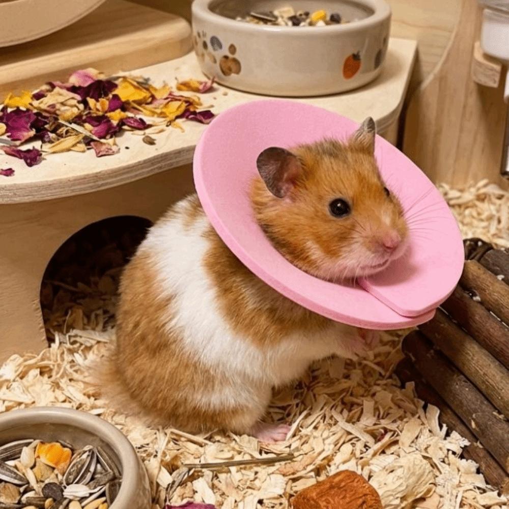 Coleira Anti-Lambedura Ajustável Coleira Protetora Anti-Mordida para Pássaro Hamster Coelho