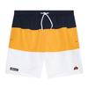 Ellesse Mens Swim Shorts