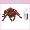 Pająk Zabawka Zdalnie Sterowany Z Tworzywa Sztucznego Dla Dzieci W Wieku Od 7 Do 14 Lat