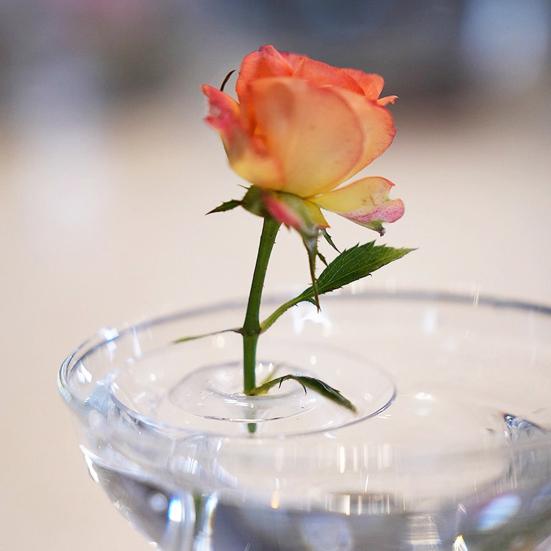 10/20/30Pcs Floating Floral Arrangement Holder Clear Floating Flower Display Stand Hydroponics Water Planting Flower