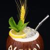400ml Ceramic Mug Coconut Shape Mug For Gifts Cups And Mugs Collection New Year Decoration Tiki Mug Barware