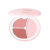 NOVO Three-in-One Blush Palette: Matte, Highlight, Nude - Student Edition.