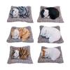Sleeping Cat Plush Toy with Soft Faux Fur Bamboo Charcoal Bag Air Purifier Car Decor Realistic