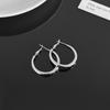 Women's High-End Plain Hoop Earrings: Light Luxury Ear Drops & Studs, Niche Design for Autumn/Winter.