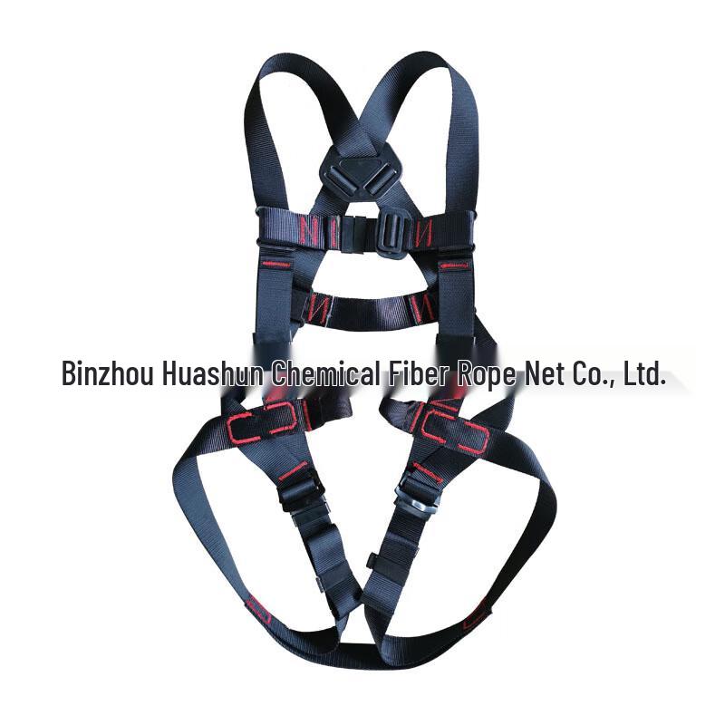 

Shaoan Full Body Rock Climbing Harness One Size