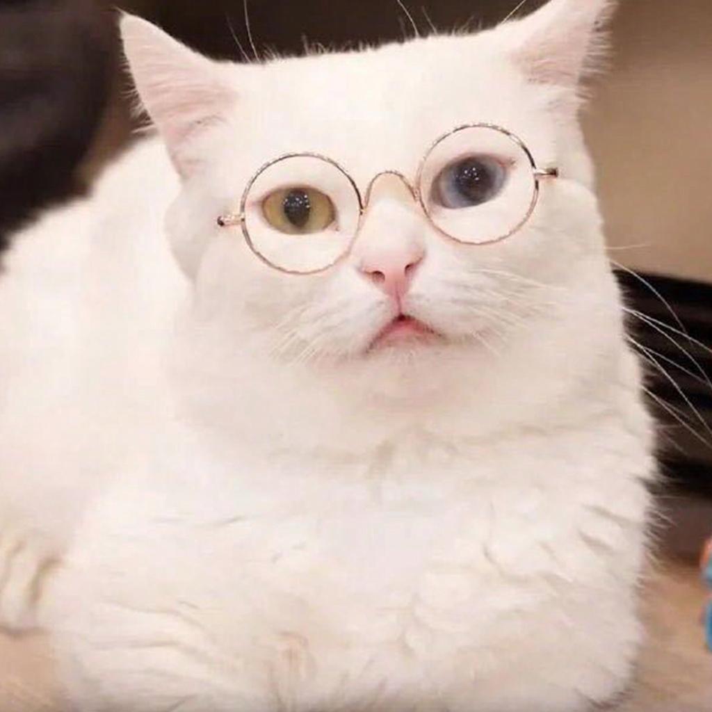 1 Stück Hunde Sonnenbrille Katze Haustier Produkt Lieblich Vintage Rund Reflexion Augenbekleidung Brille Kleiner Hund Katze Haustier Foto Requisiten Zubehör