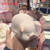 Pink Pig Pu Stress Relief Toy With Rebound Effect For Kids And Adults
