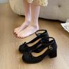Designer Vintage Butterfly-knot Women Mary Jane Shoes Fashion Party Dress Female Thick Heel Shoes