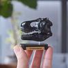 Dynaso Skull Mini Model Set (FDW-570)