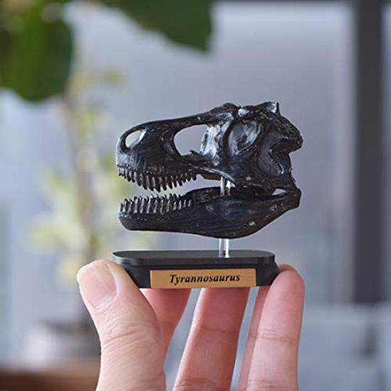 Dynaso Skull Mini Model Set (FDW-570)