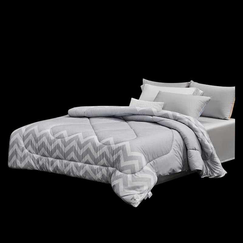 

Mercury Home Textiles Elegant Negative Ion Antibacterial All-Season Quilt