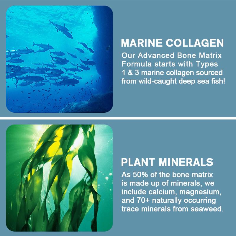 Kollagen Knochen Complete - Gelenk- & Knochenpflege, Hautgesundheit Anti-Aging, Maximale Stärke