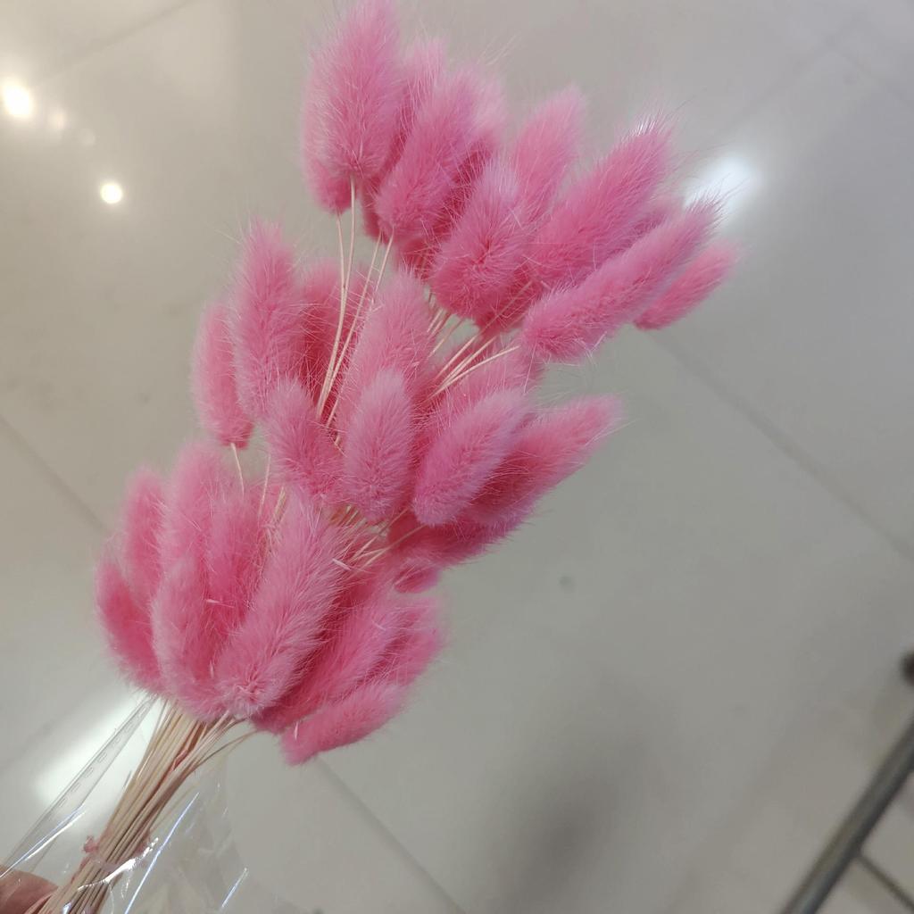 Yunnan Dried Flowers Bouquet - Rabbit Tail Grass