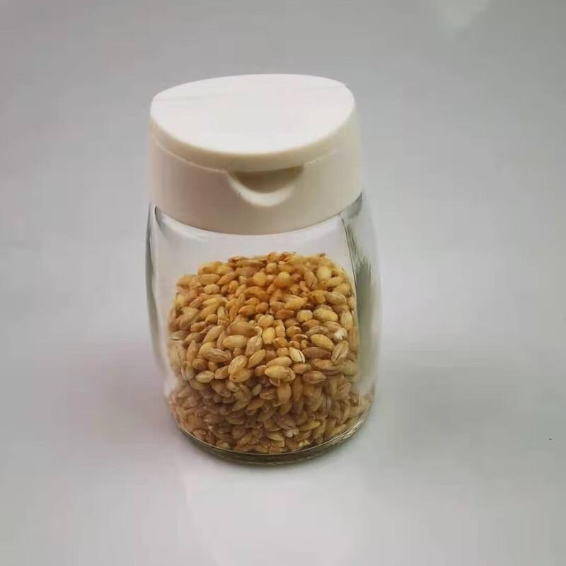 ZISIZ Glass Spice Jar Set