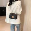 Chic Street Style Vintage Shoulder Bag 2024 Spring Trendy Women's Minimalist Chain Commuter Messenger Bag