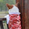 Klappa den kinesisk teddy corgi nationalstil hund Tang bomullsvadderad jacka Vårfest transvestit husdjur kattklänning för att hålla värmen