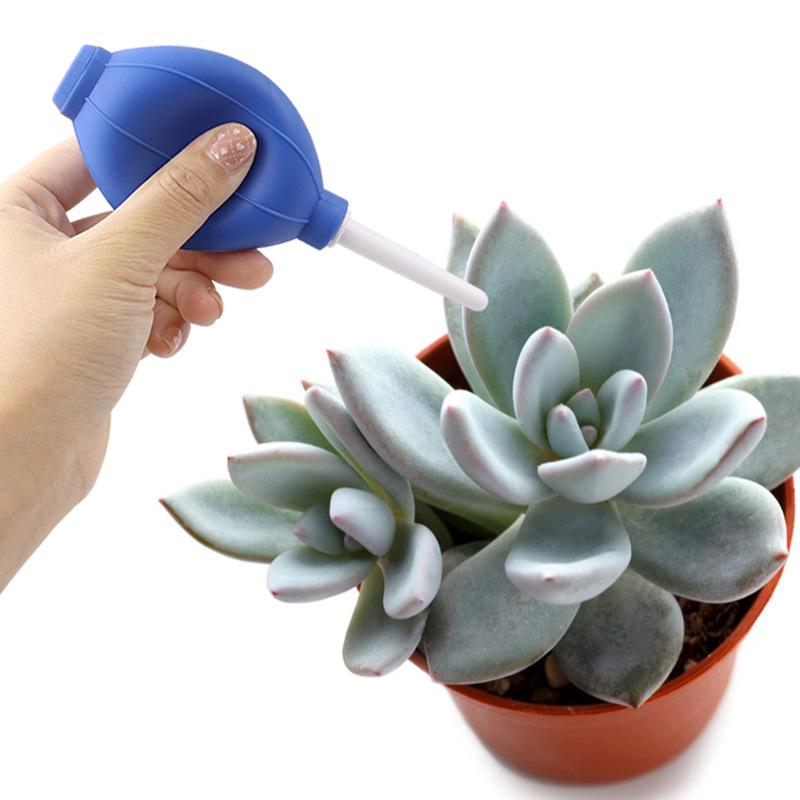 Camera Lens & Plant Air Blower: Dust Removal Tool & Digital Vacuum