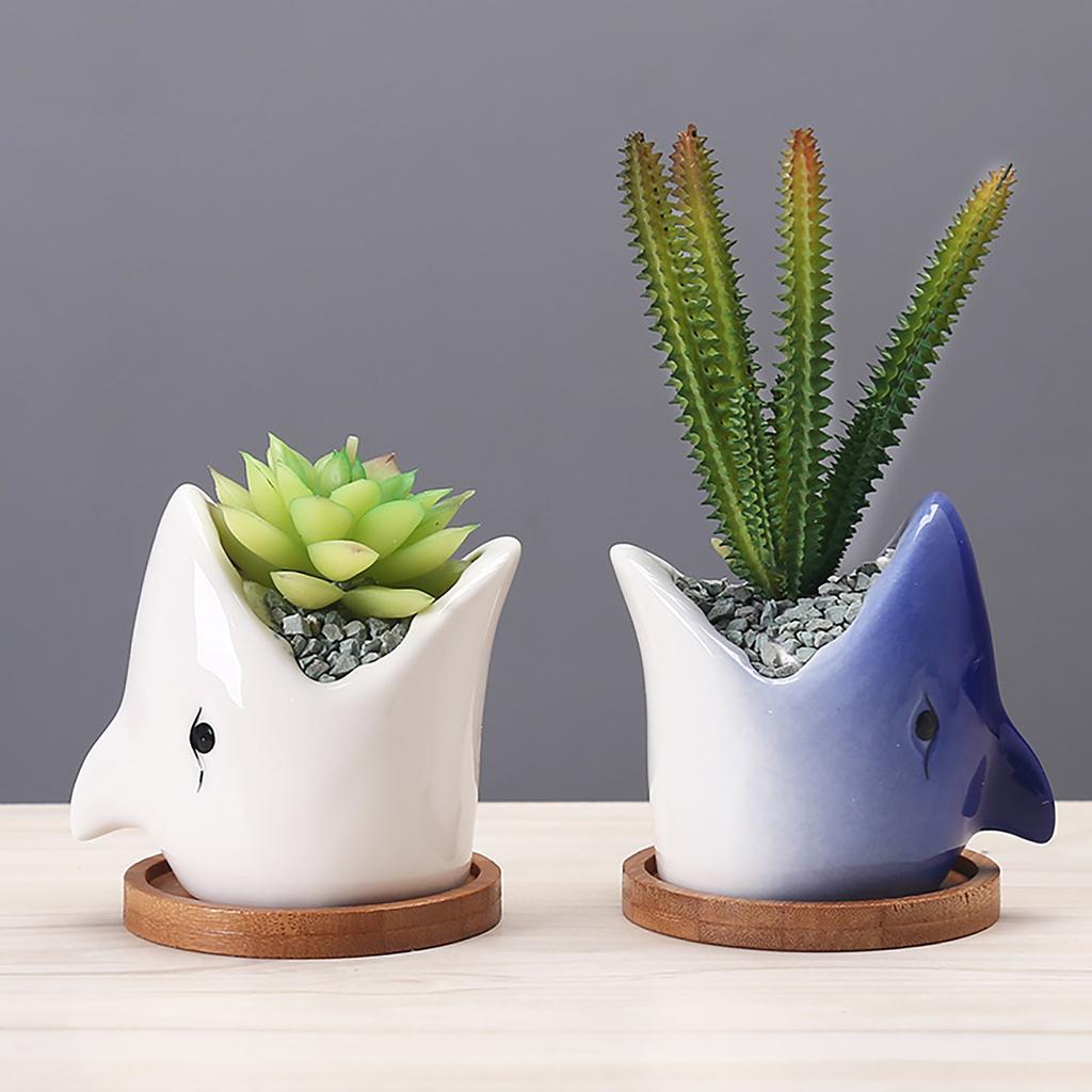  Cactus Cartoon Cute Personality Ornament Ceramic Flowerpot