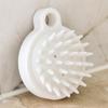 PH Shampoo Scalp Massage Brush W0307