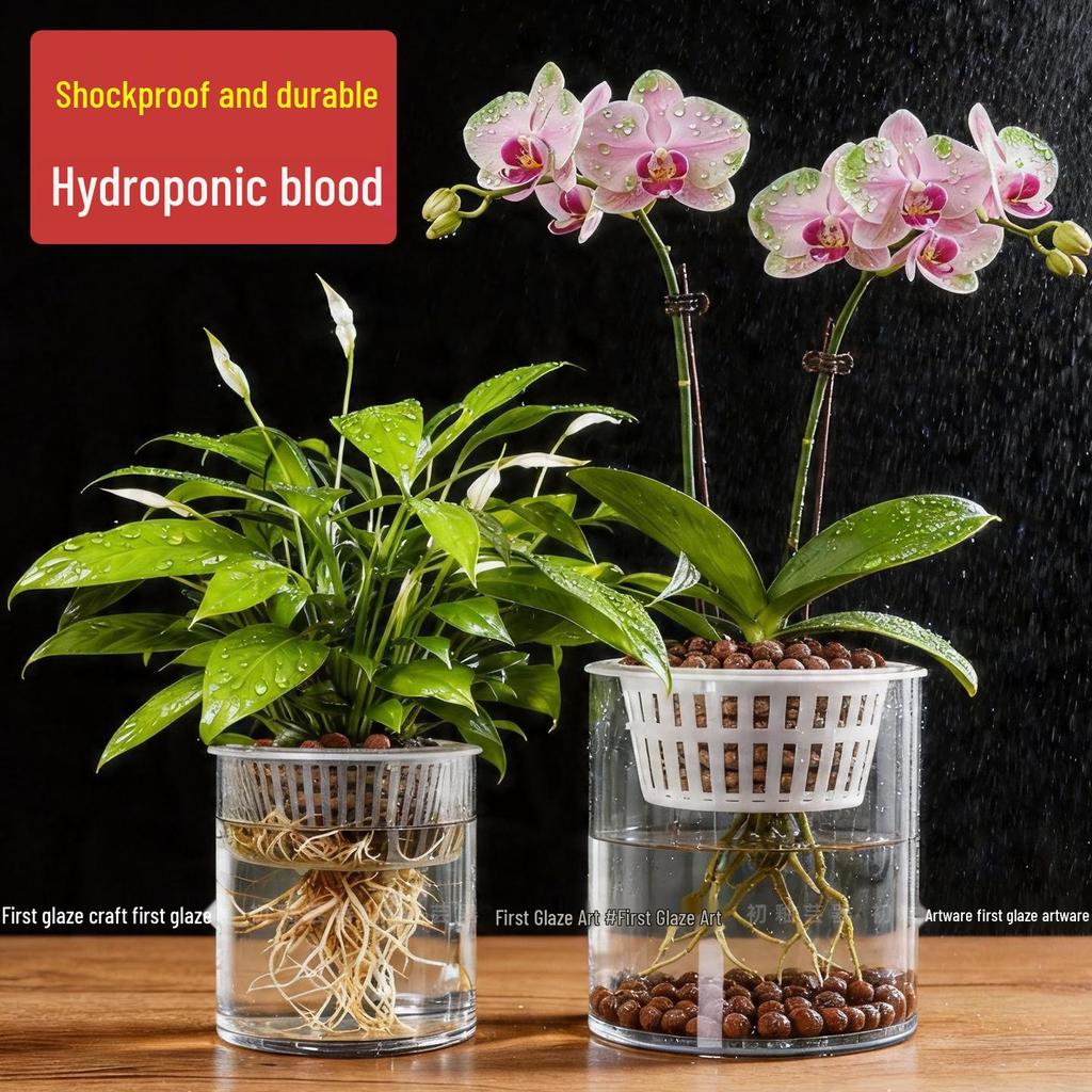 Large Transparent Vase for Hydroponic Plants: Coin Plant, Orchids, Money Tree, Plastic Flower Pot