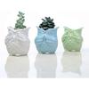 Happyyami Owl Design Ceramic Succulent Planter Pot for Home Office Decor Versatile Container for Cactus and Flowers Cute Animal Pot with Fine