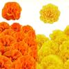 2.17 InchMexican Marigold Artificial Flowers Day of The Dead DIY Garland String Halloween Diwali Party Home Outdoor Decoration