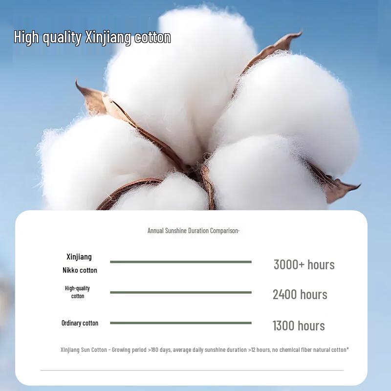 Mom's High-Waist Plus Size Cotton Briefs Multi-Pack