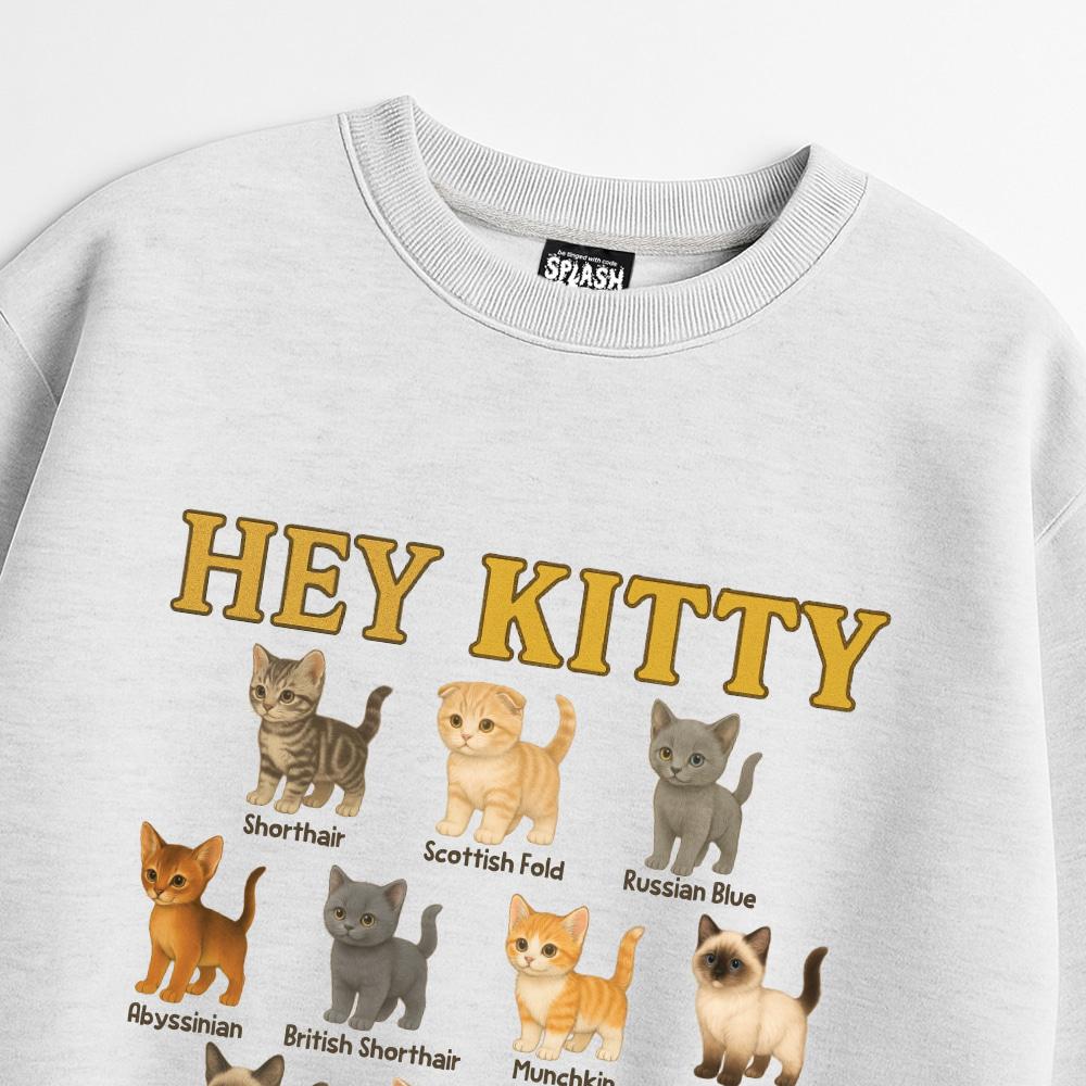 Seupeullaesikodeu Heavy Crew Neck Sweatshirt Melange White - Hey Kitty