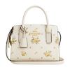 Coach ANDREA CARRYALL 22 Tracolla Rimovibile Borsa a Mano in Pelle di Vitello Borsa Tote Borsa per la Spesa Borsa a Spalla a Mano Piccola da Donna Beige