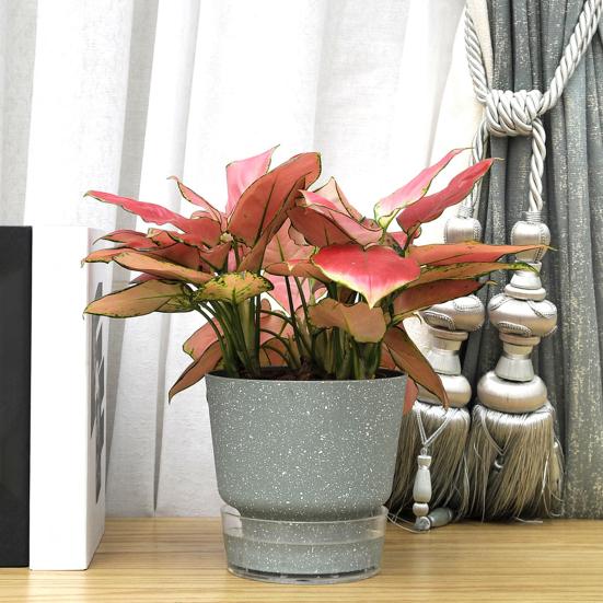 Self-Watering Flowerpot Plant Pot with Visual Reservoir Drainage Hole Self Watering Planter with Absorbent