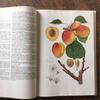 [USED] Foreign books, Czech botanical encyclopedias, vintage books, botanical art