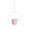 Sukkulente Hängeampel Metallblumentopf Schwingender Wandmontage-Blumentopf Schlafzimmer Wohnzimmer Nordischer Stil Schmuck
