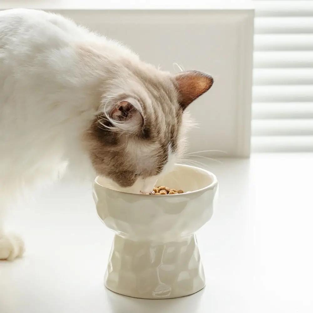 Non-slip Ceramic Pet Bowl High Foot Design, Creative Slanted Flat Mouth Food Water Feeding Basin for Cat Dog