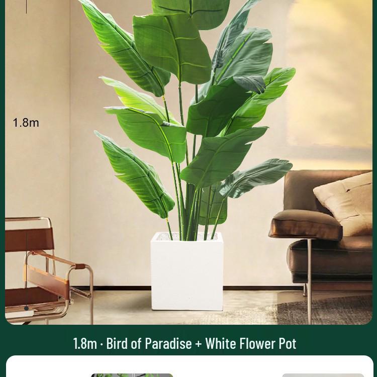 High-End Indoor Bird of Paradise Decor: Luxury Potted Traveler's Palm