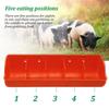 5 Slots Piglet Fodder Bowl Farm Use Livestock Feeding Dish Stable Multi Compartment Feeder for Animals