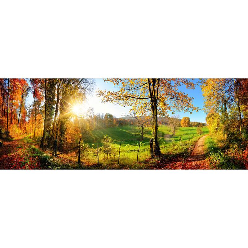 

5D Алмазная вышивка Лесной пейзаж Большой Полный комплект алмазной живописи Настенное искусство вышивки крестом Гостиная Спальня Домашний декор 50x100CM