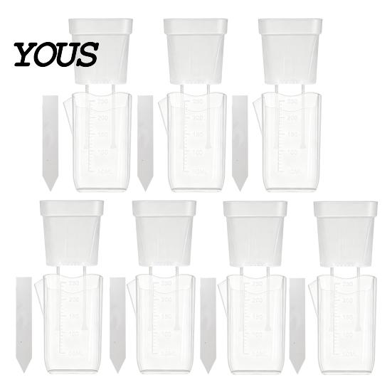 Automatic Watering Flower Pot Mini Self Pots with Wick, Clear Plastic Planters Drainage Holes & Water Level Indicator for Indoor Plants