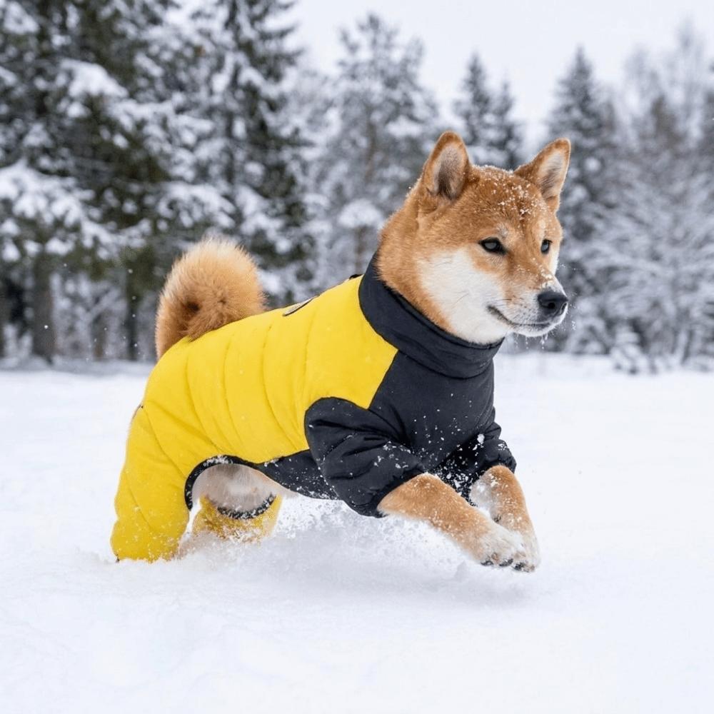Warm Dog Down Jacket Thicken Dog Four Legged Clothing Dog Cotton Jacket Puppy Ski Suit  Adventure
